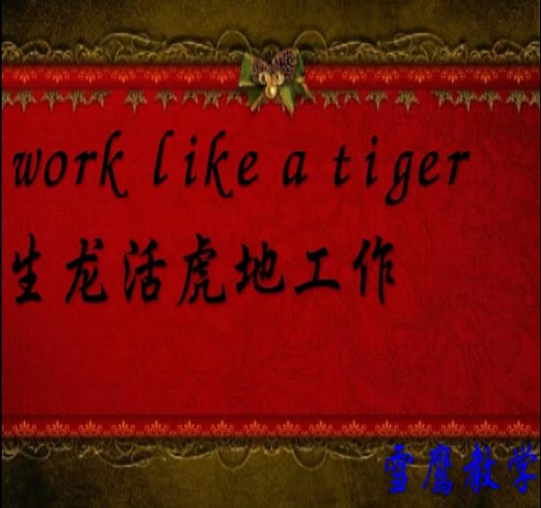 跟老虎相關的英語單詞和短語（跟老虎相關的英語單詞和短語）(8)