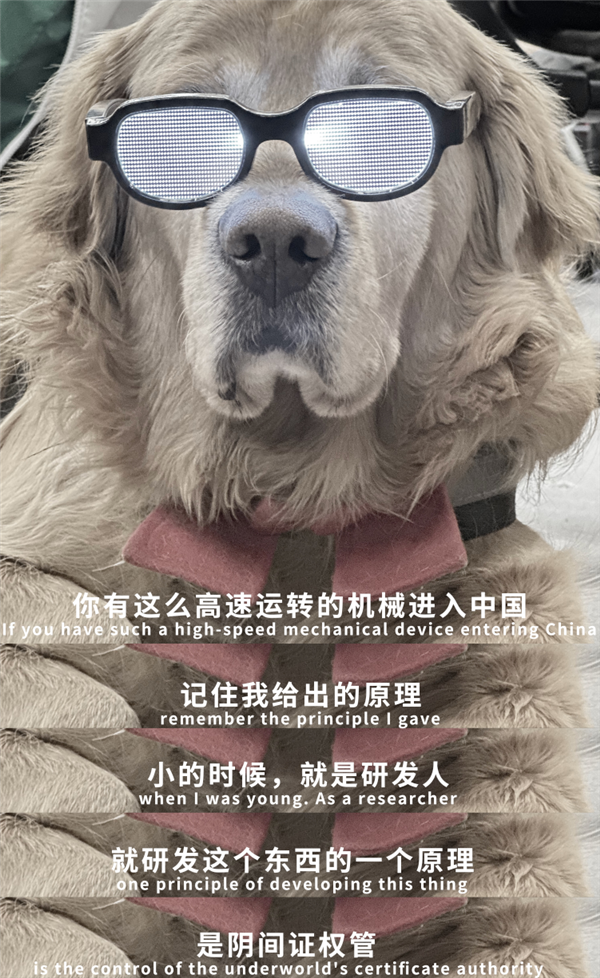 營銷號們：讓馬斯克和羅翔成了毒雞湯批發部