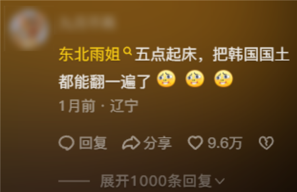東北雨姐：東北給全國人打的一針興奮劑
