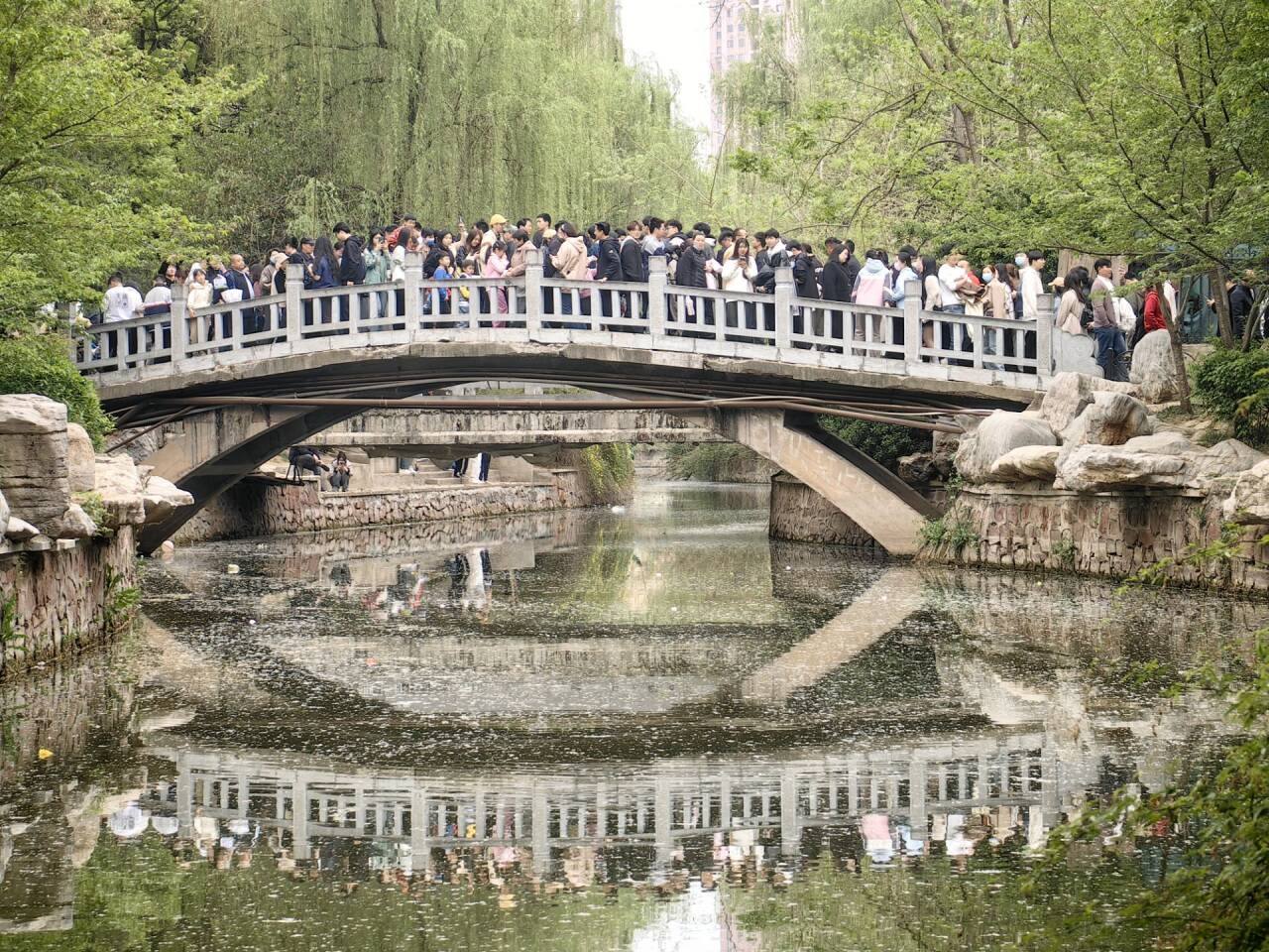清明哪個景區看起來都像有1億人：天水、淄博受歡迎