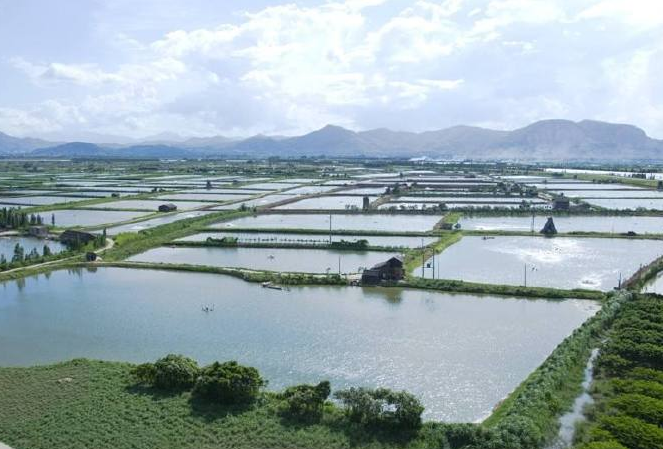 小投資十大暴富行業 果樹種植上榜，有你喜歡的行業嗎