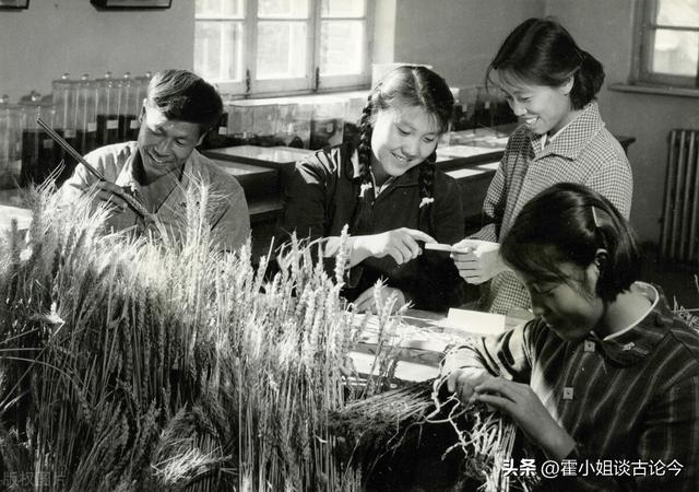 在吃都吃不飽的1961 鞏縣二中憑啥創造全省第一全國第六高考傳奇（在吃都吃不飽的1961）