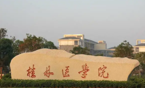 廣西大學前十高校排名，廣西的高校有哪些