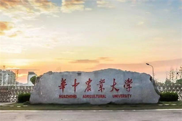 武漢211大學有哪些？2019武漢211大學名單排名榜 (7所)