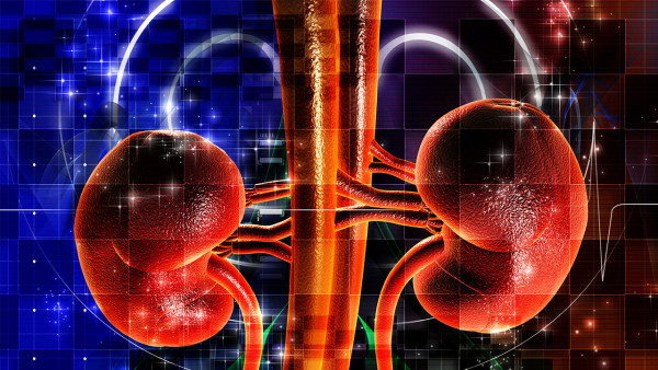 腎結石體外碎石需要住院嗎