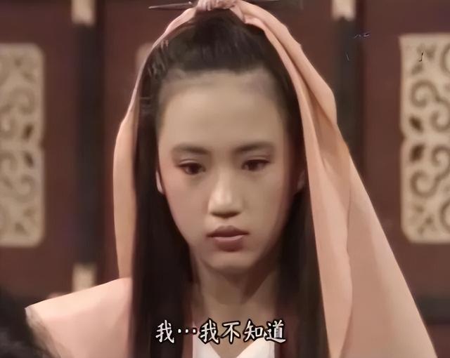 美尼姑 曾紅遍南北，搭檔梁朝偉，賈靜雯給她做配，卻突然出家（美尼姑曾紅遍南北）(11)