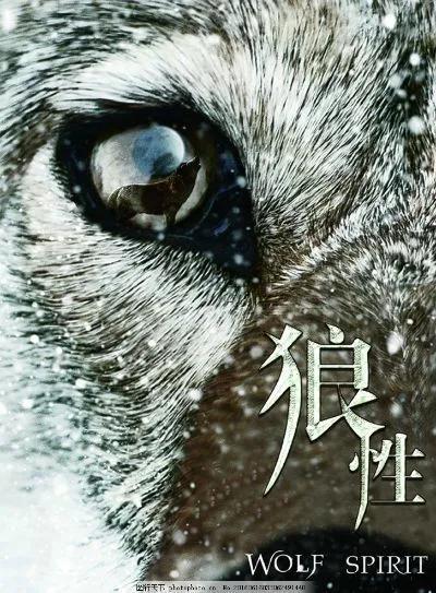 任正非發展華為的歷程，你學到了嗎（任正非發展華為的歷程）(7)