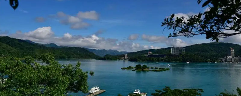 民權(quán)青山羊養(yǎng)殖廠 山東青山羊養(yǎng)殖