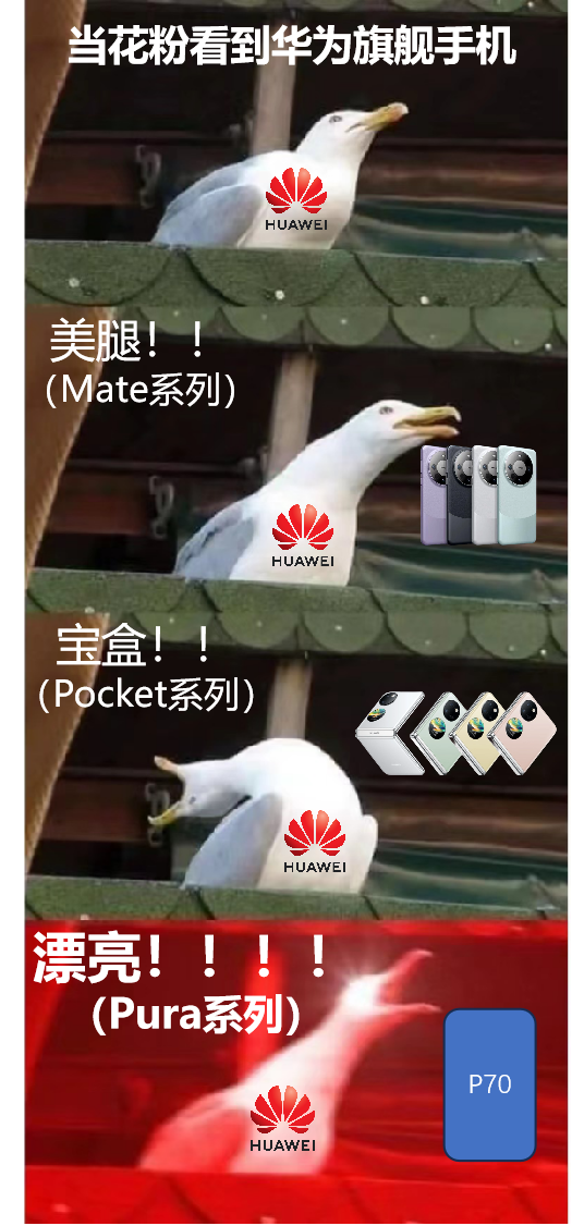 P系列改名“華為Pura”到底怎么讀 網友起極簡譯名：漂亮