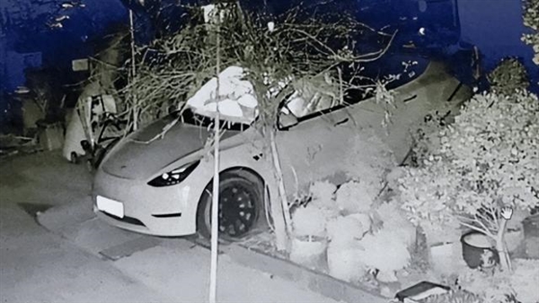 一根數據線 差點把特斯拉Model Y燒了