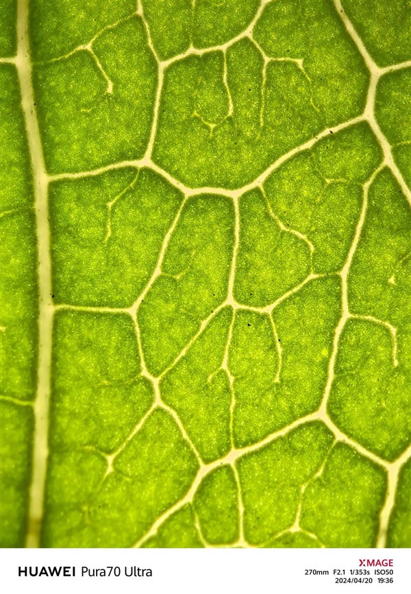 體驗了三天華為Pura 70 Ultra 我明白了為啥P系列要改名