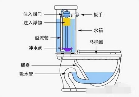 哪種馬桶不堵塞，水還不濺pp 賣了10年馬桶才明白（哪種馬桶不堵塞）(3)