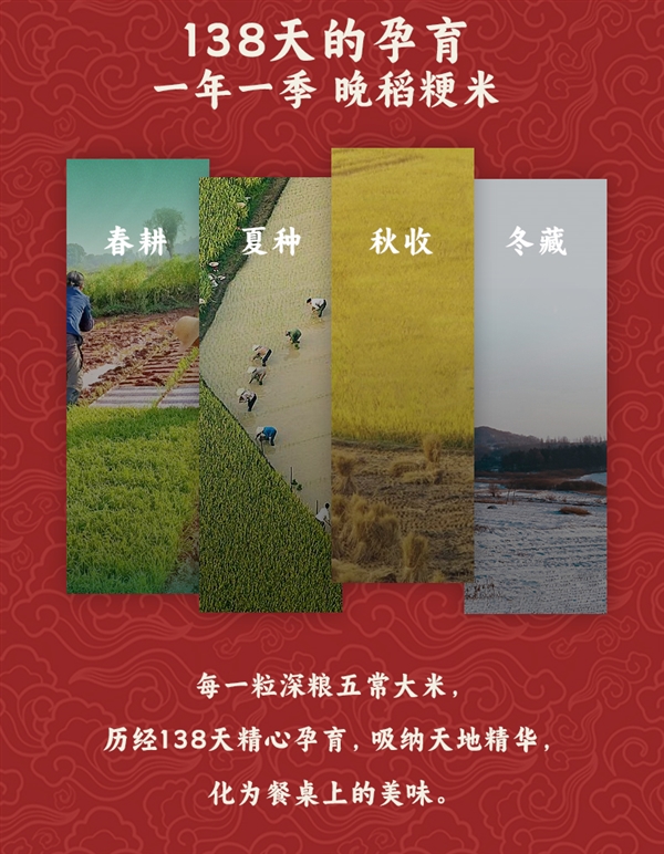 GB/T 19266標準：深糧控股五常大米10斤39.9元包郵到手