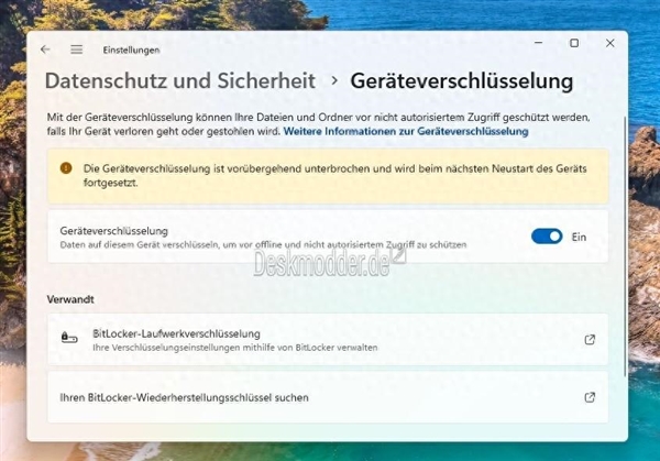 微軟會玩！Windows 11 24H2細節曝光：對數據默認加密、影響SSD性能