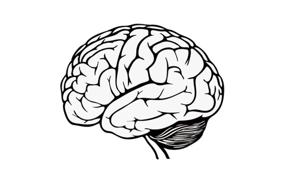 成人癲癇能治好嗎 治療成年人癲癇病的方法