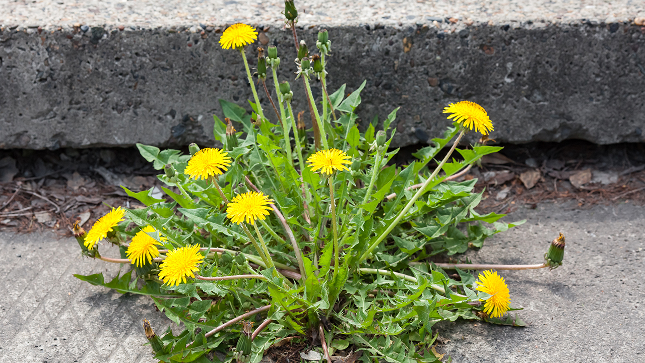 寶寶喉嚨痛傷風發(fā)燒怎么辦