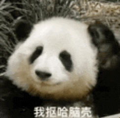 任天堂閃擊GitHub：一夜刪光8000多個模擬器代碼倉庫！