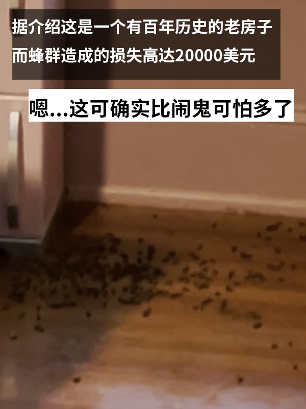 三歲女孩總說墻里有鬼：專業人士來了也被嚇一跳！