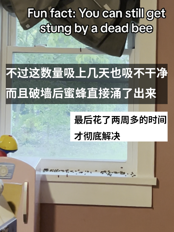 三歲女孩總說墻里有鬼：專業人士來了也被嚇一跳！