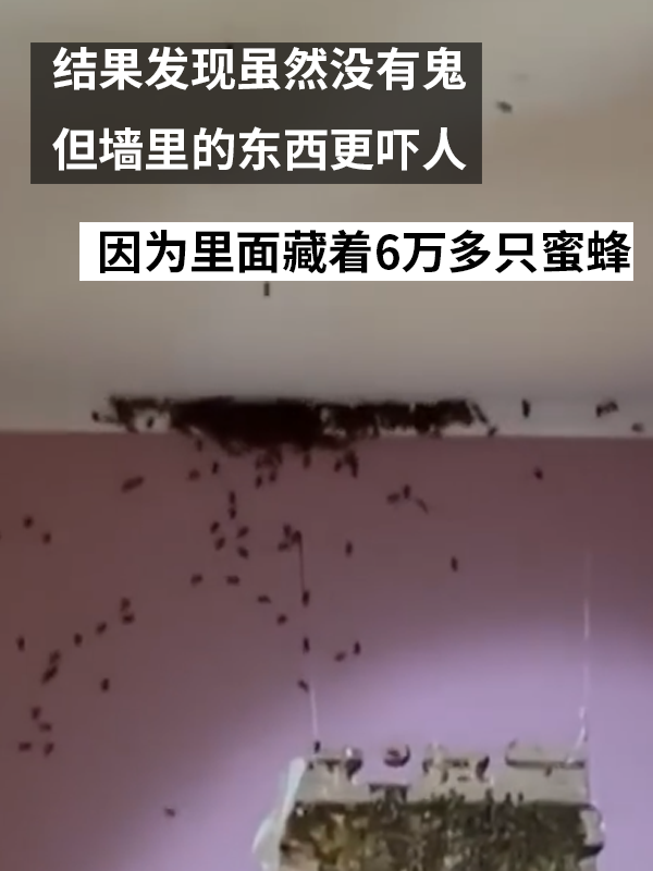 三歲女孩總說墻里有鬼：專業人士來了也被嚇一跳！