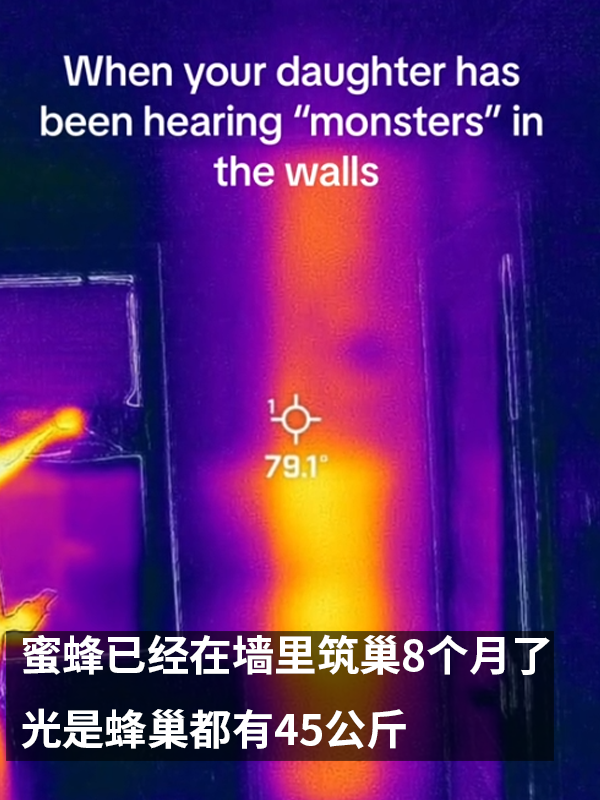 三歲女孩總說墻里有鬼：專業人士來了也被嚇一跳！