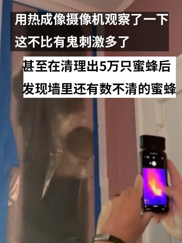 三歲女孩總說墻里有鬼：專業人士來了也被嚇一跳！