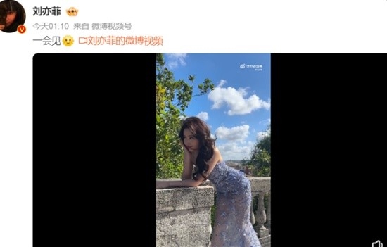 劉亦菲曬新照引網友圍觀：微卷長發優雅迷人