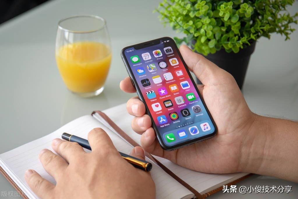 國內養殖品種大全 國內養殖品種有哪些