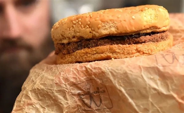 1995年的麥當勞漢堡至今不腐！這是吃了什么防腐劑？