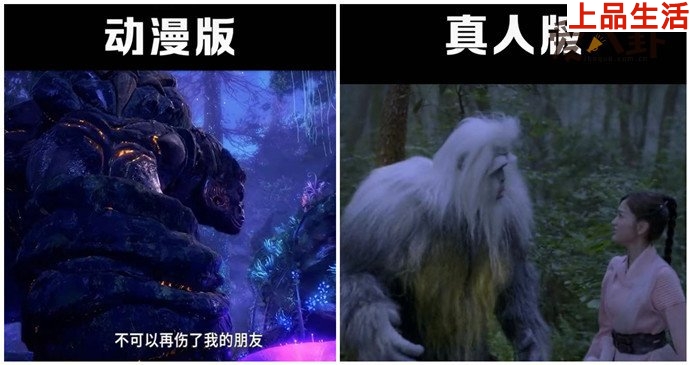 斗羅大陸真人版與動漫版對比