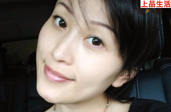 楊子前妻陶虹