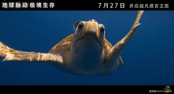 豆瓣9.7分紀錄片天花板！《地球脈動》首部大電影國內定檔7月27日：預告片發布