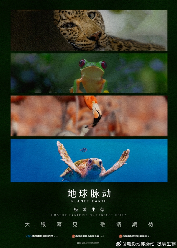 豆瓣9.7分紀錄片天花板！《地球脈動》首部大電影國內定檔7月27日：預告片發布