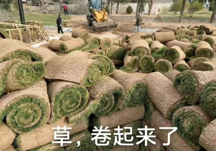在排氣炸街、廢氣熏天的泰國：中國新能源車像個異類