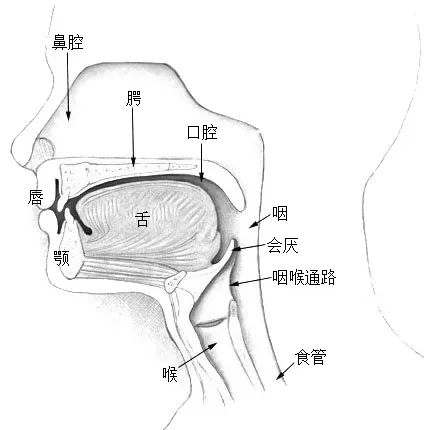 一個睡眠小習慣 可能會損害心臟和血管 快看你有沒有