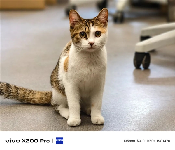 用了幾天vivo X200 Pro：我感覺友商壓力有點大啊