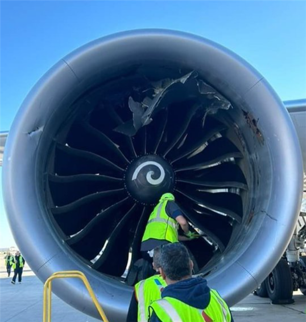 美國一波音787客機發(fā)動機吸入行李集裝箱 事故原因太巧合
