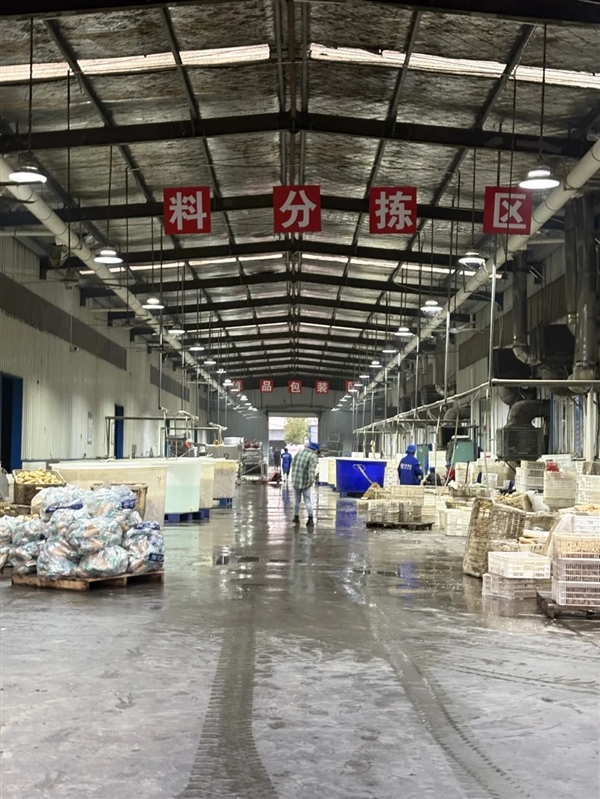 新疆的海鮮、甘肅的蝦 農業大摸底太精彩了
