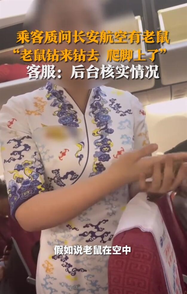 旅客稱老鼠在飛機上亂竄 長安航空回應：已做捕鼠消殺處理
