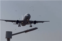 國航一飛機降落時撞到鳥群：機頭可見清晰血跡