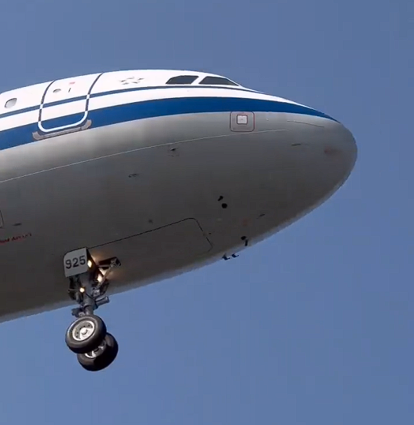 國航一飛機降落時撞到鳥群：機頭可見清晰血跡