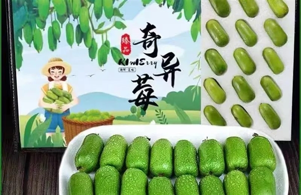維C含量是橙子6倍！這種長(zhǎng)得像棗的水果 竟是獼猴桃