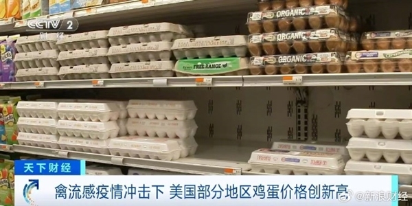 蛋價飆升：美國部分地區一顆雞蛋5塊多 真吃不起了