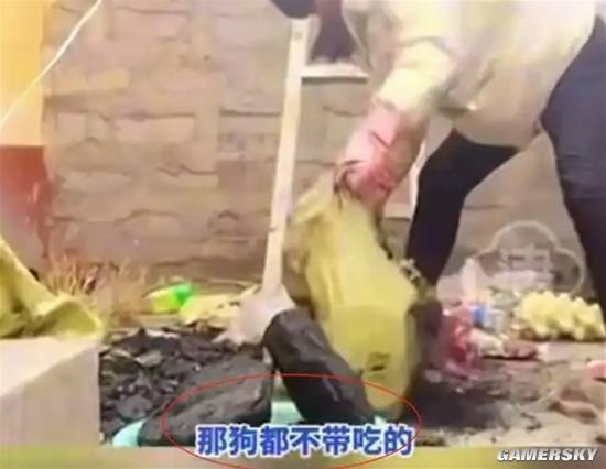 女網(wǎng)紅拿無人區(qū)救命糧喂狗 被質(zhì)問后稱遭到了網(wǎng)暴