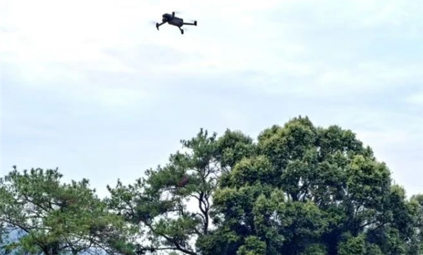 村民16只羊走丟6天：被無人機找回18只
