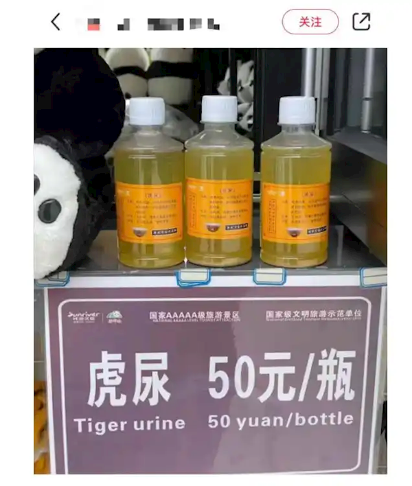 四川一動物園賣老虎尿：一瓶50元 稱可內服