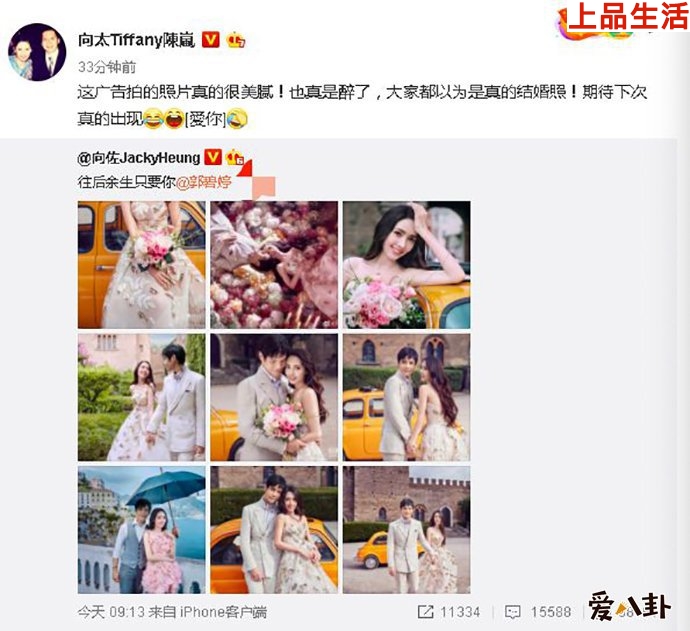 向佐郭碧婷兩人的結婚是假的？