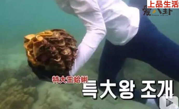 李烈音或被判5年, 因節目或成最慘女嘉賓