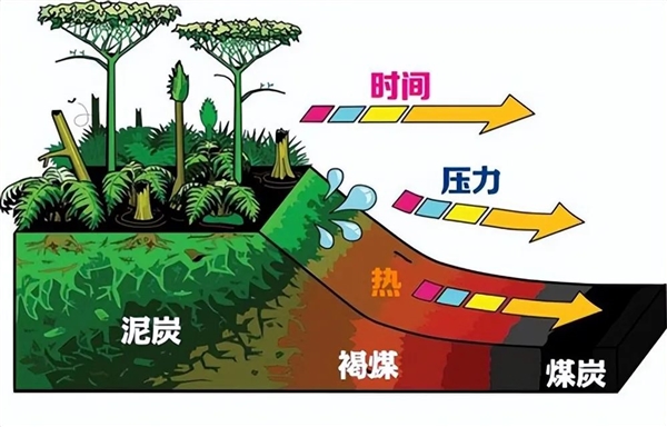 亞洲大露天煤礦 百米厚煤層足足開采了118年！古代植物咋都埋那了
