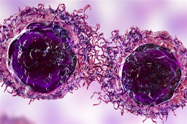 網紅Coser“若童”因腸癌去世：年僅32歲